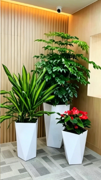 杭州湾花木租摆下单-宁波植物摆放技巧-镇海花卉租摆定制-余姚花木租摆租金